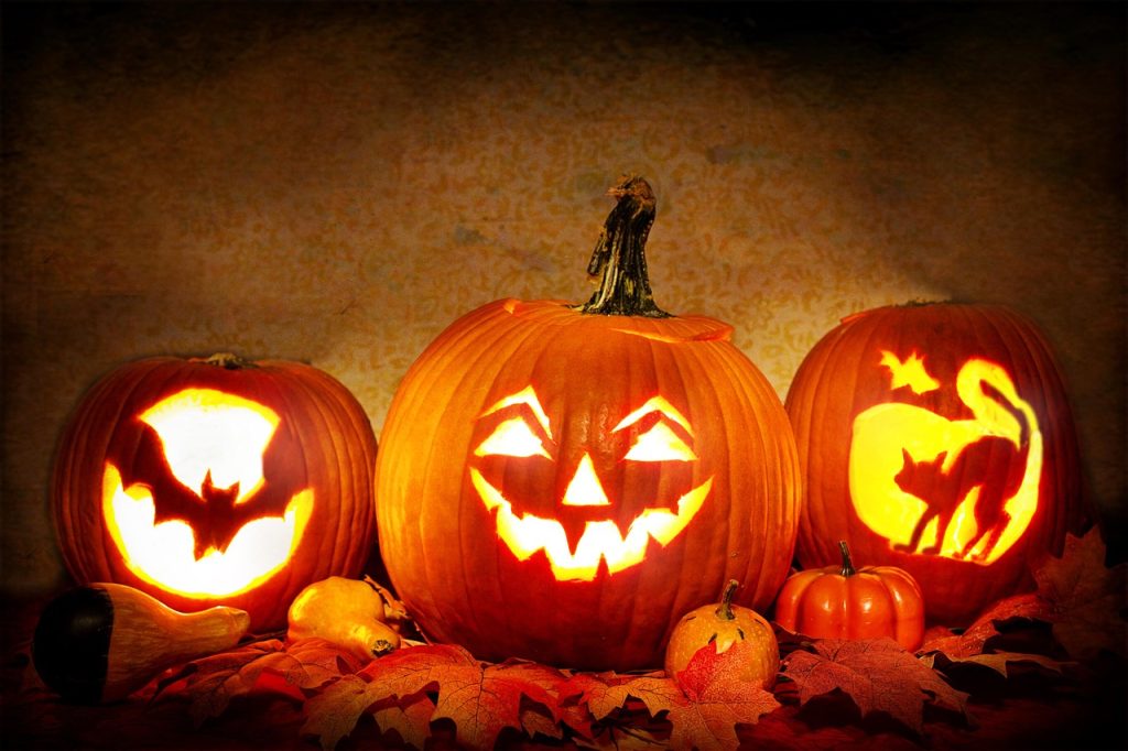 jack-o-lanterns, lit, pumpkins, carved pumpkins, halloween, orange, scary, spooky, october, holiday, creepy, halloween, halloween, halloween, halloween, halloween